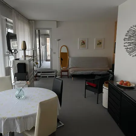 Big With Terrace & Location Daire Paris